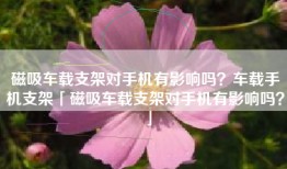 磁吸车载支架对手机有影响吗？车载手机支架「磁吸车载支架对手机有影响吗？」