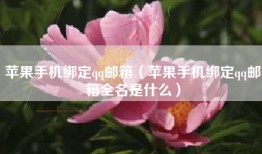 苹果手机绑定qq邮箱（苹果手机绑定qq邮箱全名是什么）