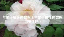 苹果手机抹掉数据（苹果手机抹掉数据后安全吗）