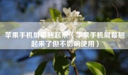 苹果手机屏幕翘起来（苹果手机屏幕翘起来了但不影响使用）