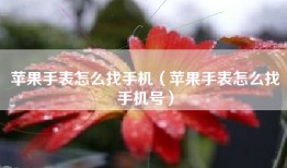 苹果手表怎么找手机（苹果手表怎么找手机号）