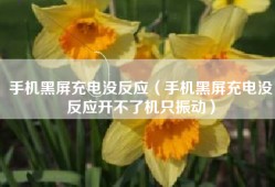 手机黑屏充电没反应（手机黑屏充电没反应开不了机只振动）