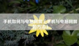 手机如何与电脑同屏（手机与电脑同屏的方法）