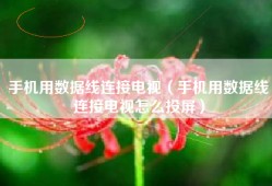 手机用数据线连接电视（手机用数据线连接电视怎么投屏）