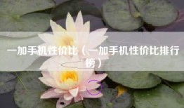 一加手机性价比（一加手机性价比排行榜）