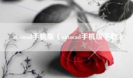 autocad手机版（autocad手机版下载）