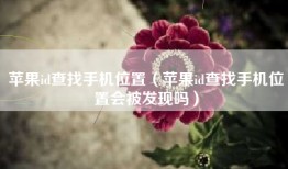 苹果id查找手机位置（苹果id查找手机位置会被发现吗）