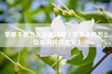 苹果手机怎么设置闹钟（苹果手机怎么设置闹钟自定义）