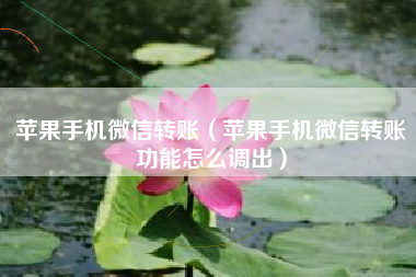 苹果手机微信转账（苹果手机微信转账功能怎么调出）