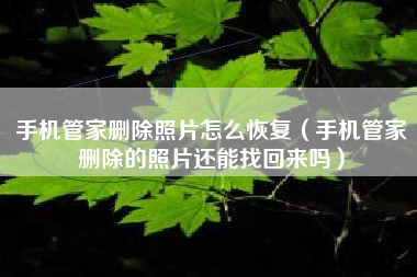 手机管家删除照片怎么恢复（手机管家删除的照片还能找回来吗）