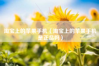 淘宝上的苹果手机（淘宝上的苹果手机是正品吗）