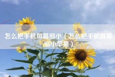 怎么把手机屏幕缩小（怎么把手机屏幕缩小苹果）