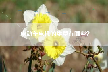 电动车电机的类型有哪些？